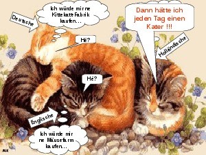 klicke hier, um die Datei herunterzuladen katzentraum