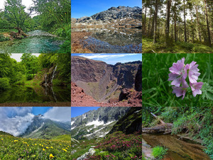 klicke hier, um die Datei herunterzuladen Beautiful Nature 94