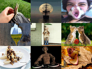 klicke hier, um die Datei herunterzuladen Wow einzigartige Bilder 22
