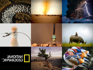 klicke hier, um die Datei herunterzuladen NationalGeographicPhotosbud