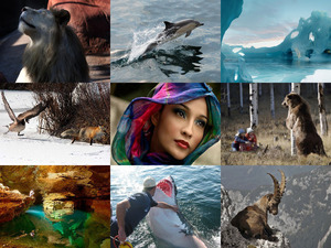 klicke hier, um die Datei herunterzuladen Photos 5 MB Click Sound Pierrina L