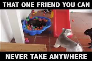 Dieser eine Freund