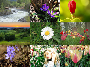 klicke hier, um die Datei herunterzuladen Frühling 4