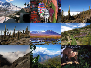 klicke hier, um die Datei herunterzuladen Bolivien 1