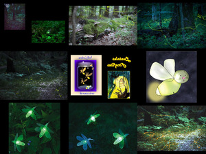 449-lucioles-fireflies-120908085651-phpapp02
