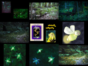 klicke hier, um die Datei herunterzuladen 449-lucioles-fireflies-120908085651-phpapp02