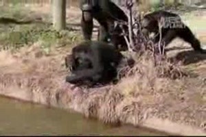 We Are All The Same 1