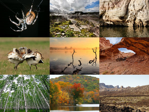 klicke hier, um die Datei herunterzuladen Beautiful Nature 69