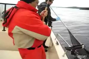 Polarfischen