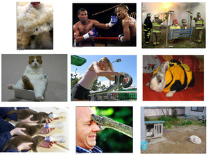 klicke hier, um die Datei herunterzuladen GenialeFotos