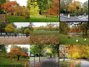London im Herbst