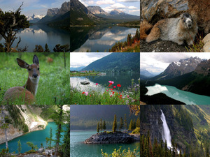 klicke hier, um die Datei herunterzuladen Canada s Beauty