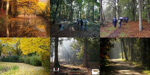 klicke hier, um die Datei herunterzuladen Herfstwandeling