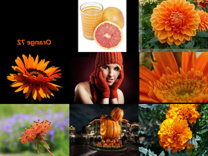 klicke hier, um die Datei herunterzuladen Orange 72