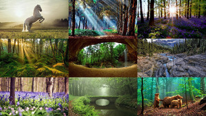 klicke hier, um die Datei herunterzuladen Naturaleza En Imagenes - Tony - Bares