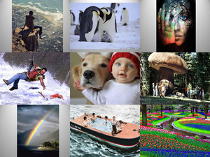 klicke hier, um die Datei herunterzuladen Photos incroyables-1