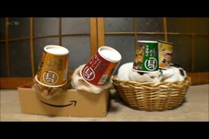 alle brauchen ein Hut