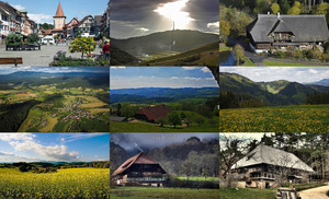 klicke hier, um die Datei herunterzuladen Der Schwarzwald