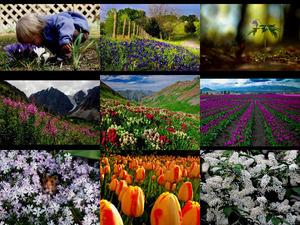 klicke hier, um die Datei herunterzuladen spring is here 1