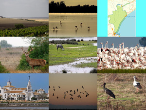 Nationalpark Coto de Donana Spanien