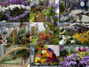 klicke hier, um die Datei herunterzuladen die Blumenshau in Taipei