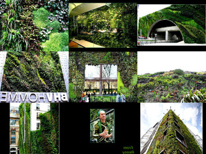 green walls - grne Wnde