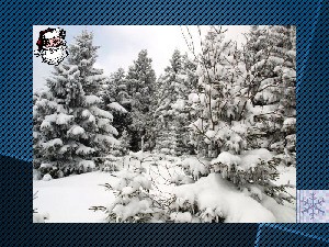 klicke hier, um die Datei herunterzuladen Winterlandschaften aus Polen