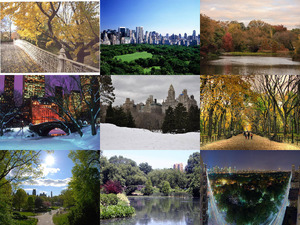 der Central Park in New York