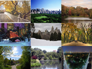 klicke hier, um die Datei herunterzuladen der Central Park in New York