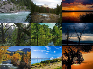 klicke hier, um die Datei herunterzuladen Beautiful Nature 72