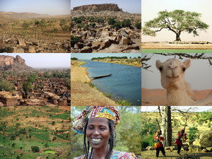 klicke hier, um die Datei herunterzuladen Mali 2