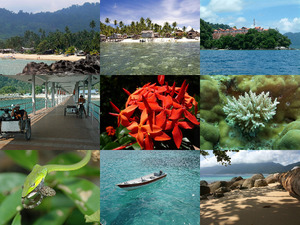 Schne Eindrcke von Tioman