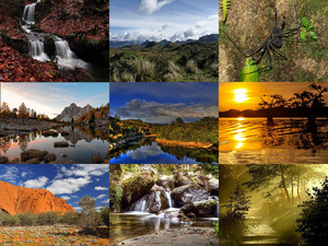 klicke hier, um die Datei herunterzuladen Beautiful Nature 79