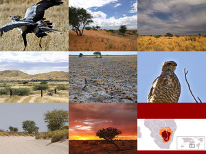 klicke hier, um die Datei herunterzuladen Kalahari 1