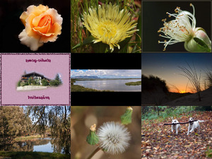 klicke hier, um die Datei herunterzuladen Bilder-Galerie vom 02062013 Natur pur 6