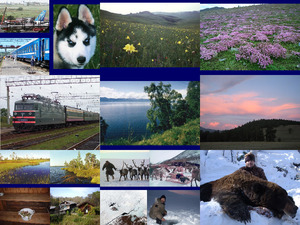 klicke hier, um die Datei herunterzuladen SIBERIA- Kate