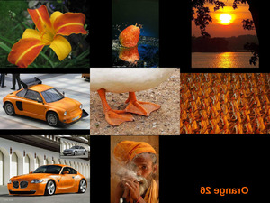 Orange 26