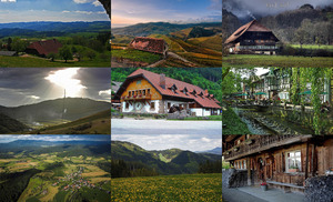 klicke hier, um die Datei herunterzuladen Schwarzwald