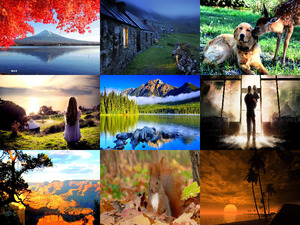 klicke hier, um die Datei herunterzuladen Beautiful Pics - sehr schöne Aufnahmen