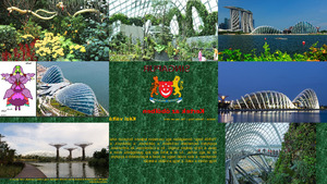 Jardin de la Bahia en Singapur11