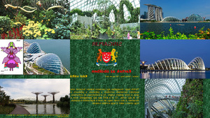 klicke hier, um die Datei herunterzuladen Jardin de la Bahia en Singapur11