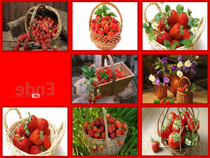 Erdbeeren 1