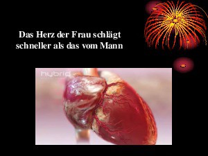 Eigenschaften des Koerpers