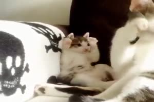 Von Mama lernen