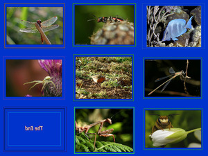 klicke hier, um die Datei herunterzuladen Beauty of Nature