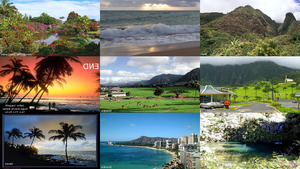 klicke hier, um die Datei herunterzuladen Hawaii gele