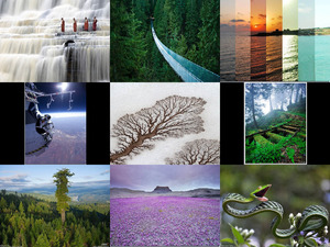 die besten Bilder in diesem Jahr bisher