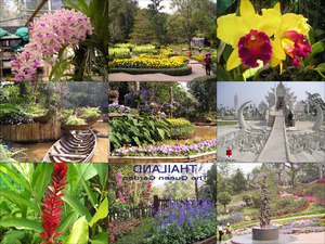thailand the queen gardens