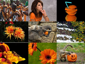 klicke hier, um die Datei herunterzuladen Orange 69