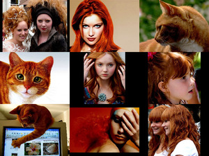 klicke hier, um die Datei herunterzuladen redheads